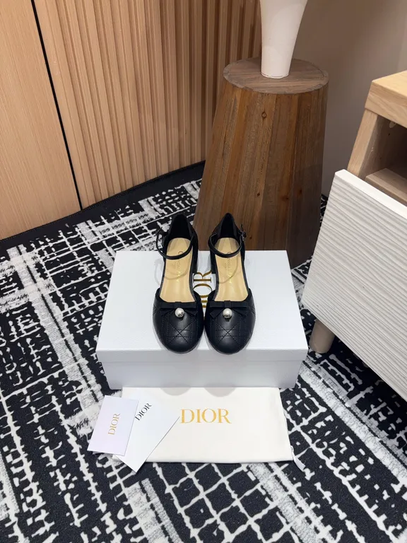 Dior Shoe 